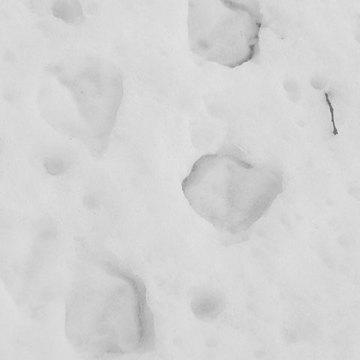 130115snow3.jpg