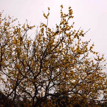 130127walk06.jpg