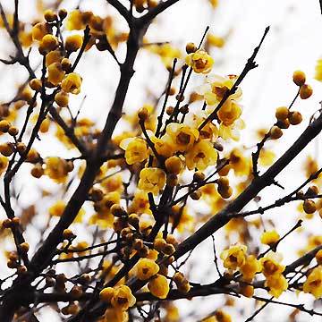 130127walk07.jpg