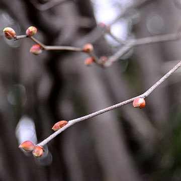 130127walk16.jpg
