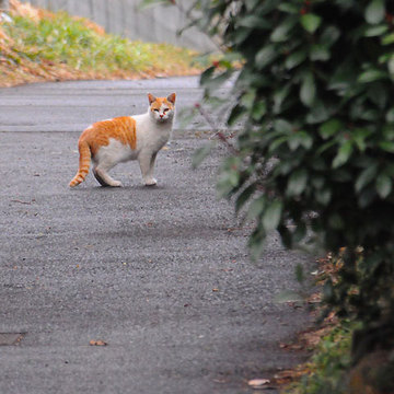 130127walk17.jpg