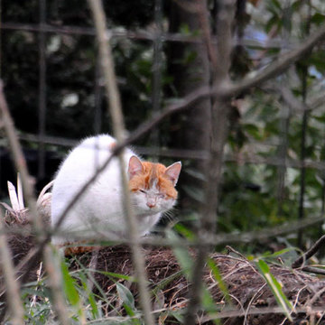 130127walk19.jpg