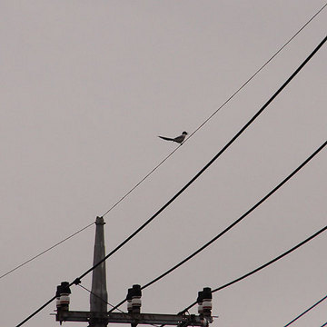 130127walk26.jpg