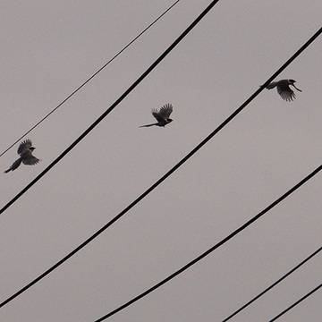 130127walk28.jpg