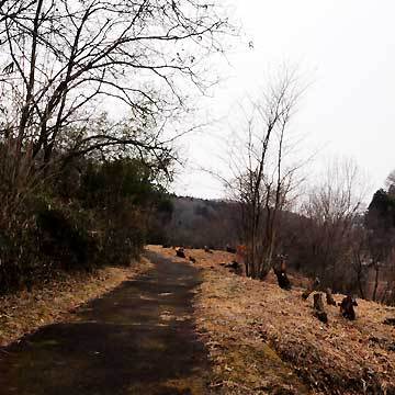 130127walk31.jpg