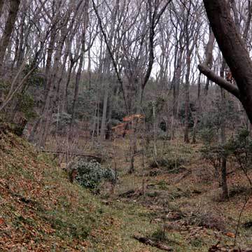 130127walk32.jpg