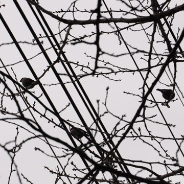 130127walk37.jpg