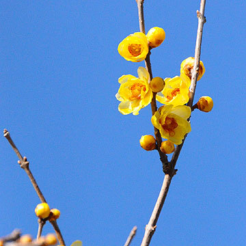 130203walk01.jpg