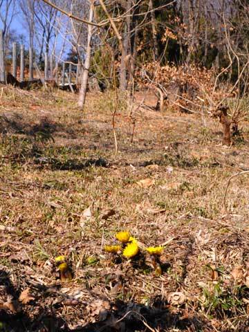 130203walk04.jpg