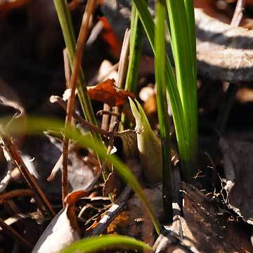 130203walk05.jpg