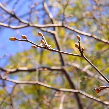 130203walk06.jpg