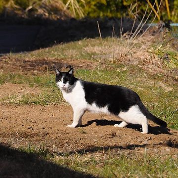 130203walk09.jpg