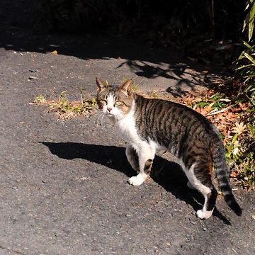 130203walk10.jpg