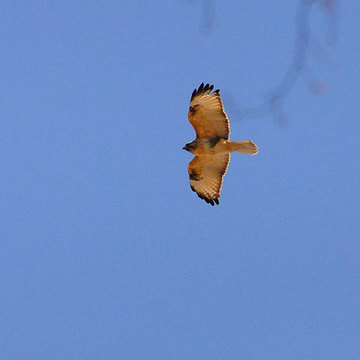 130203walk14.jpg