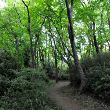 130424walk02.jpg
