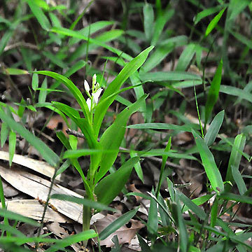 130424walk03.jpg