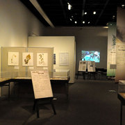130424walk11.jpg