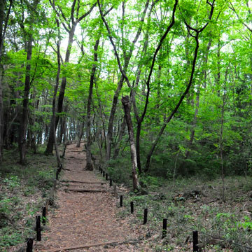 130424walk16.jpg