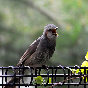 130424walk18.jpg