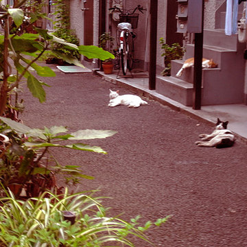 130717town2.jpg