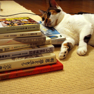 131130books&shake.jpg