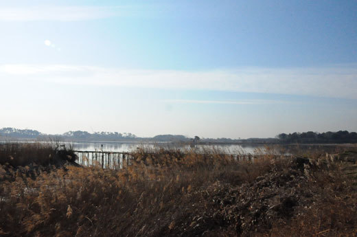 140108gunma08.jpg