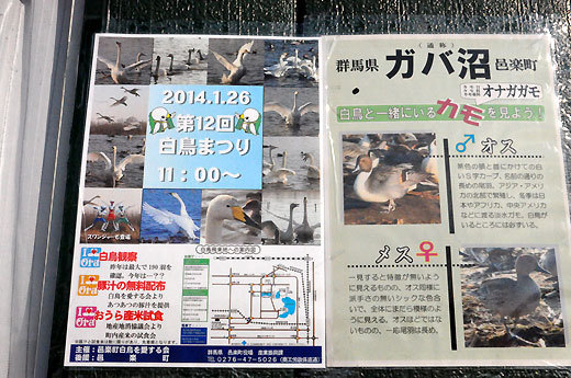 140108gunma18.jpg
