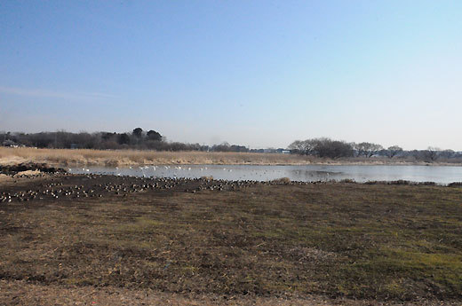 140108gunma21.jpg