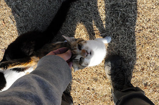 140108gunma35.jpg
