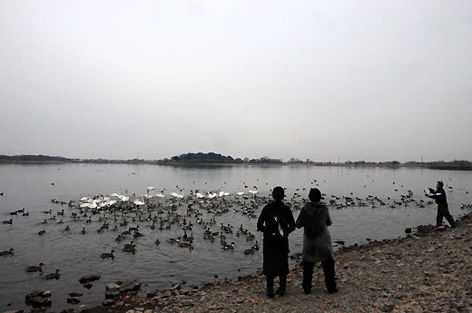 140108gunma64.jpg