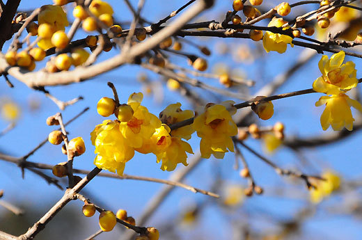 140129walk01.jpg