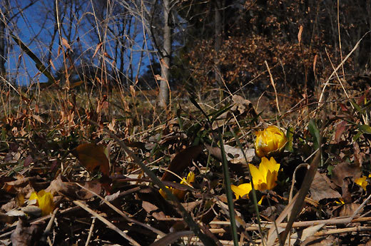 140129walk02.jpg