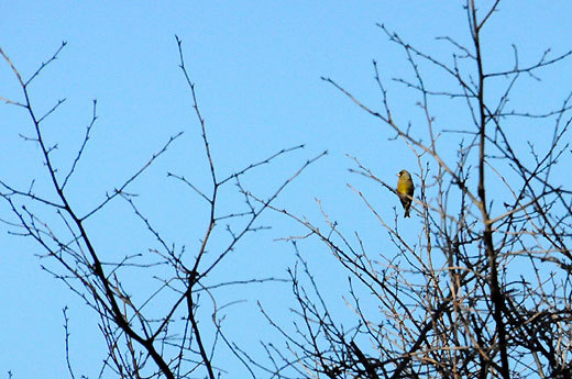 140129walk08.jpg