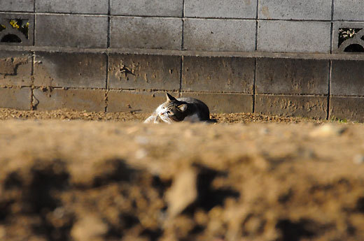 140129walk18.jpg