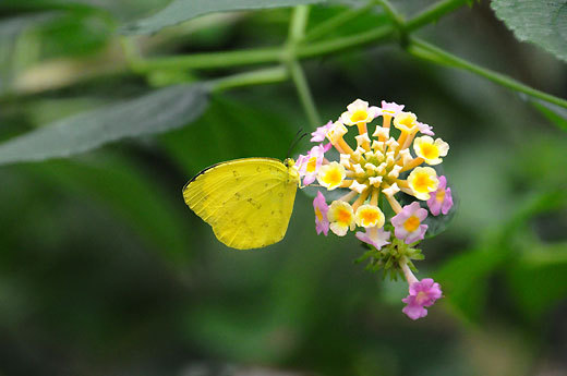 140321tamazoo.i11.jpg