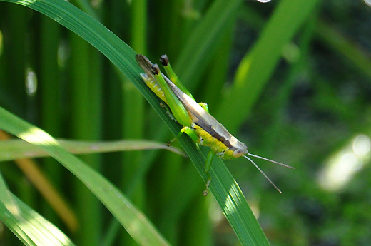 140819walk06.jpg