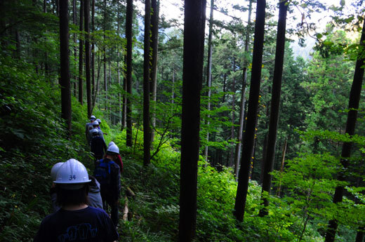 140928hinohara03.jpg