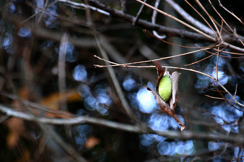 141231walk07.jpg