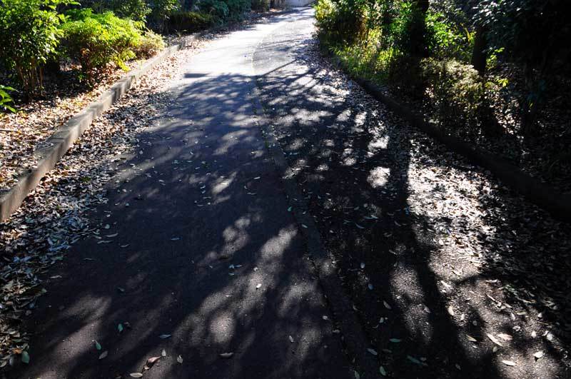 141231walk11.jpg