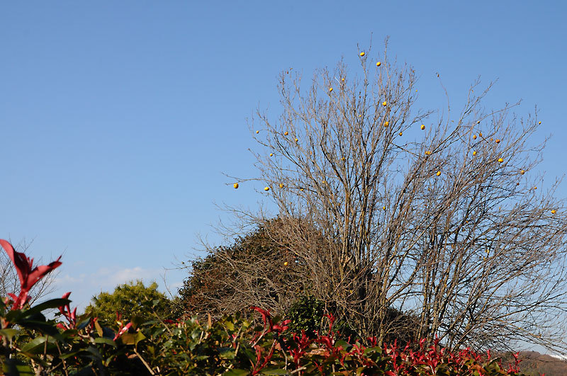 141231walk13.jpg