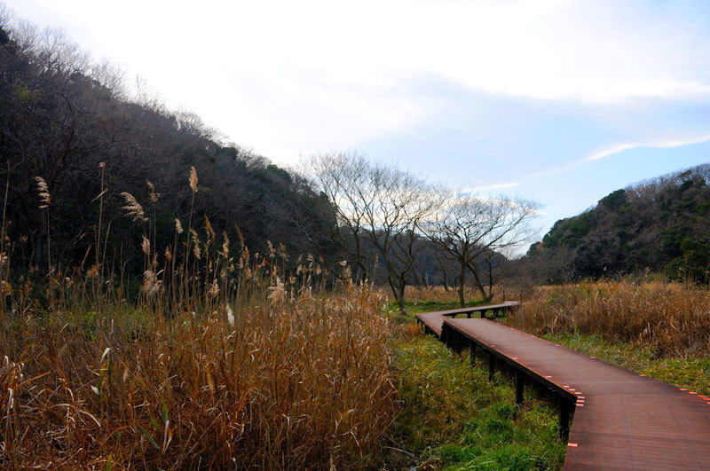 160102koajiro2.jpg