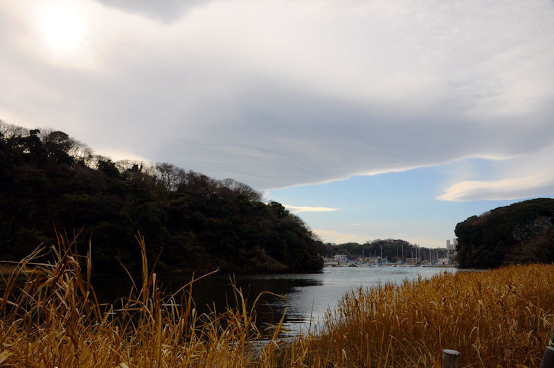 160102koajiro3.jpg