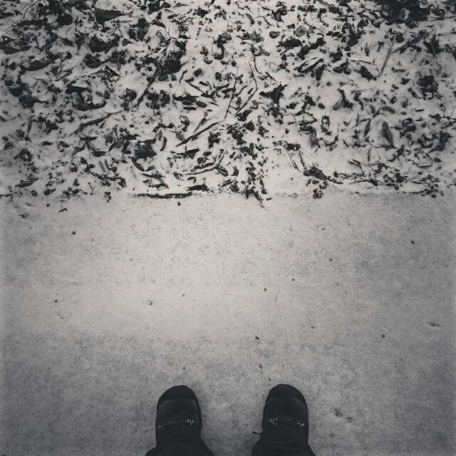 20170215102304589.jpg