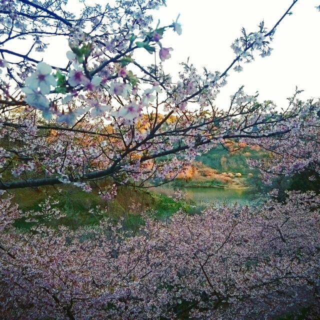 20170215102319265.jpg