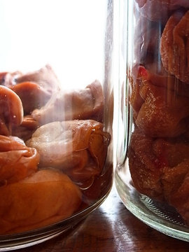 100811pickled-ume2.jpg