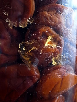 100811pickled-ume5.jpg