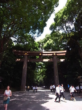 100825meiji-jingu03.jpg