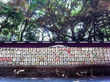 100825meiji-jingu08.jpg