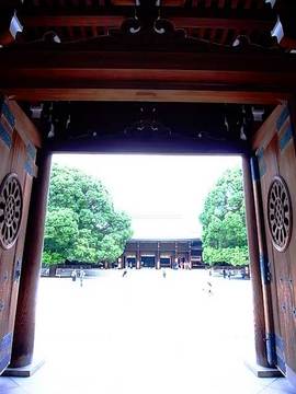 100825meiji-jingu16.jpg