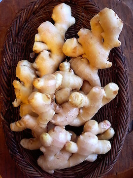 101012ginger.jpg